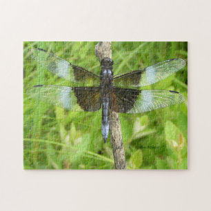 Dragonfly Puzzle