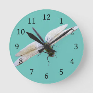 Dragonfly Round Clock