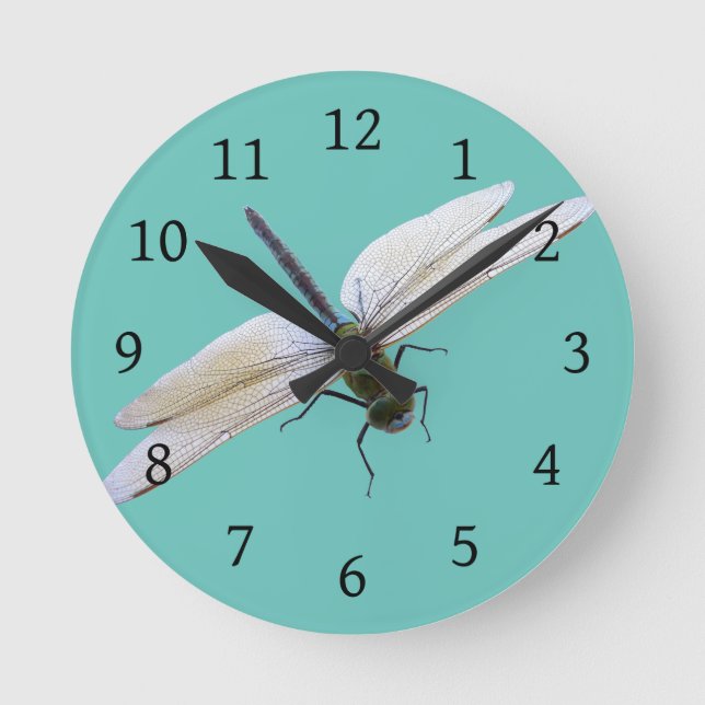 Dragonfly Round Clock (Front)