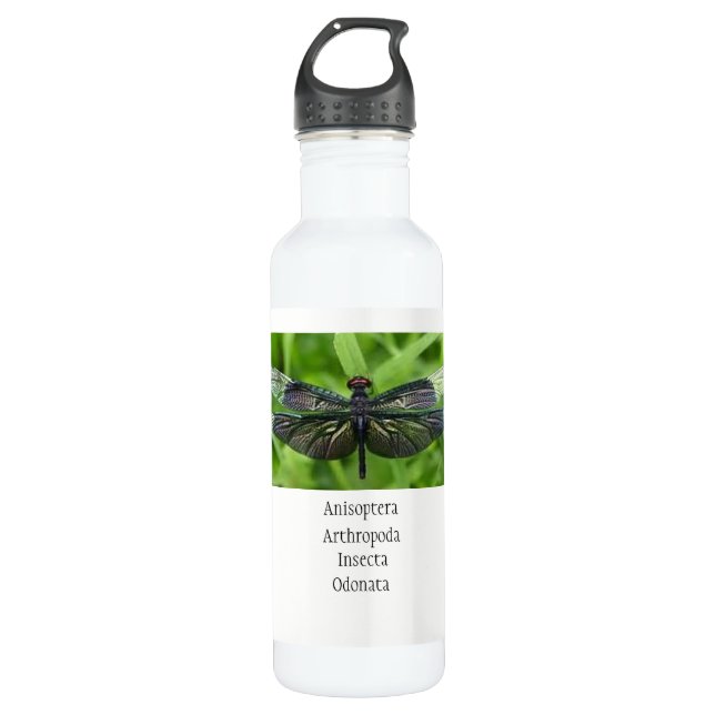 Dragonfly Science 710 Ml Water Bottle (Front)
