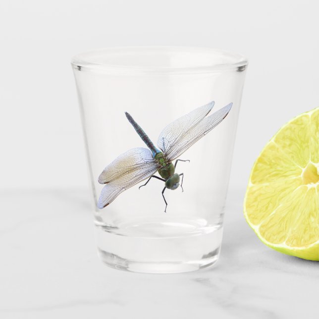 Dragonfly Shot Glass (Front)