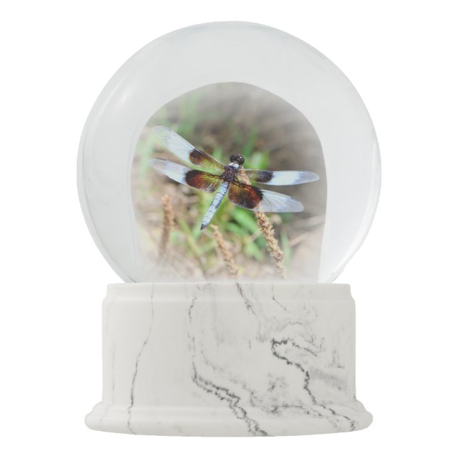 DRAGONFLY SNOW GLOBE (Front)