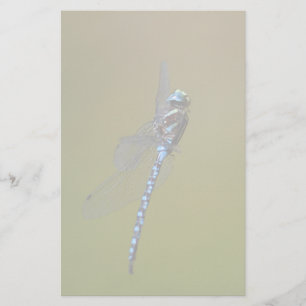 dragonfly stationery