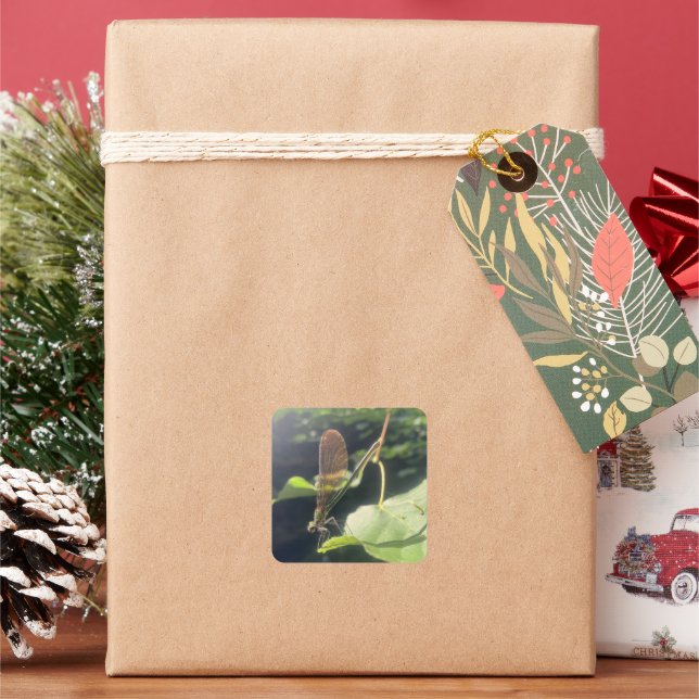 Dragonfly Sticker (Holiday)