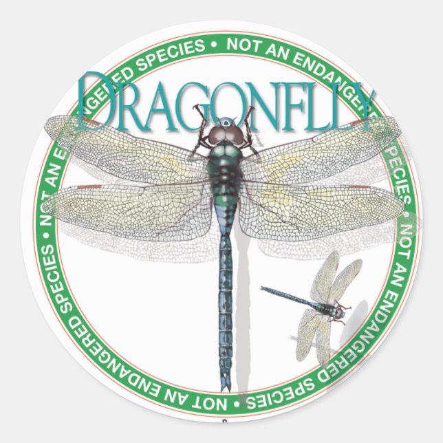 Dragonfly Sticker (Front)