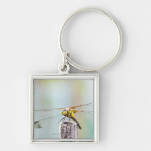 Dragonfly (Sympetrum infuscatum) 2 Key Ring