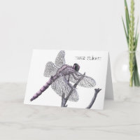 Dragonfly (Take flight.)