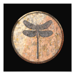 Dragonfly Talking Canyons, New Mexico Photo Print