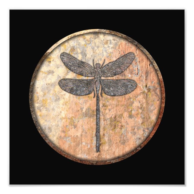 Dragonfly Talking Canyons, New Mexico Photo Print (Front)