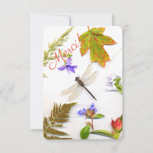 Dragonfly Thank you Card