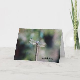 Dragonfly Thank You Card