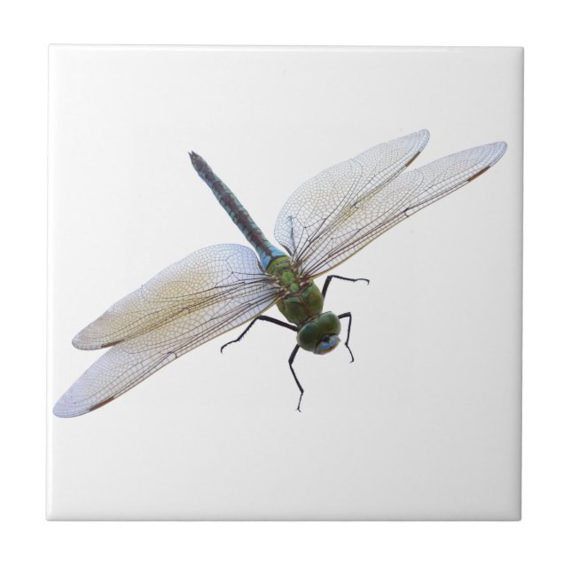 Dragonfly Tile (Front)