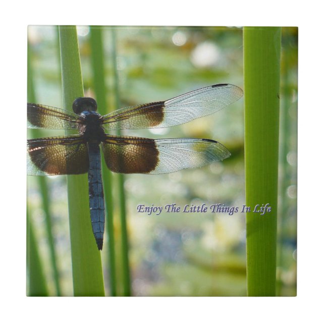 Dragonfly Tile (Front)