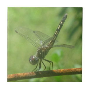 Dragonfly Trivet