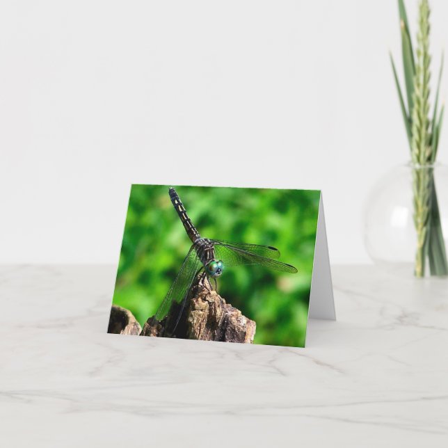 Dragonfly Up Close Nature Photography  Note Card (Front)