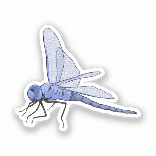 Dragonfly vector illustration (Front)