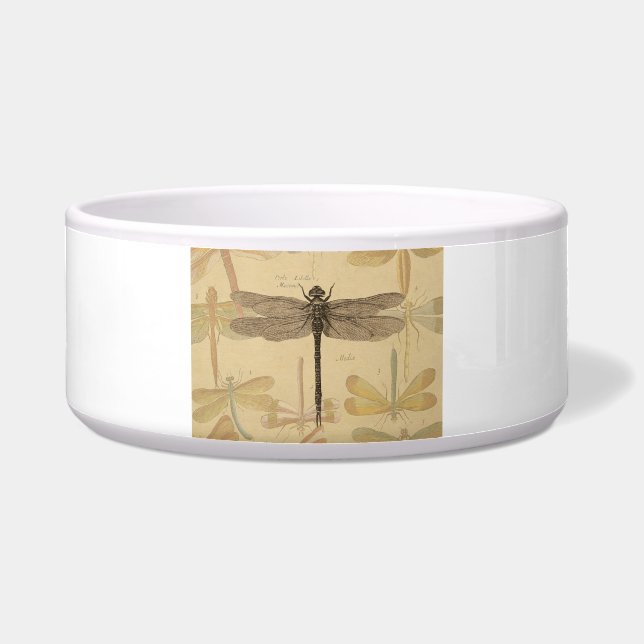 Dragonfly Vintage Antique Classic Nature (Front)