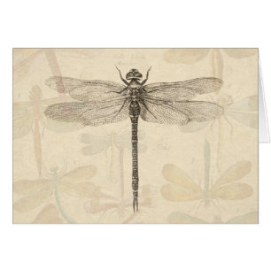 Dragonfly Vintage Antique Classic Nature