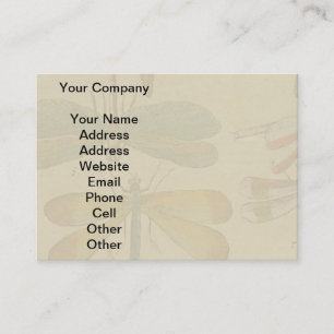 Dragonfly Vintage Antique Classic Nature Business Card