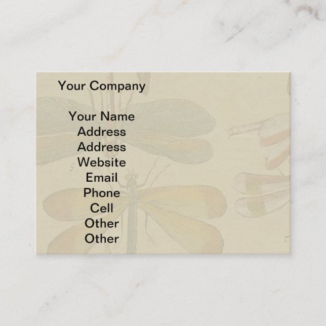 Dragonfly Vintage Antique Classic Nature Business Card (Front)