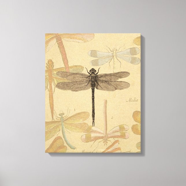 Dragonfly Vintage Antique Classic Nature Canvas Print (Front)