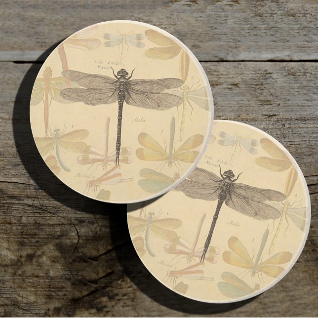 Dragonfly Vintage Antique Classic Nature Coaster (Creator Uploaded)