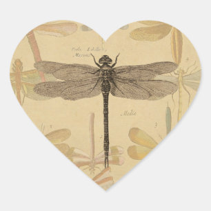 Dragonfly Vintage Antique Classic Nature Heart Sticker