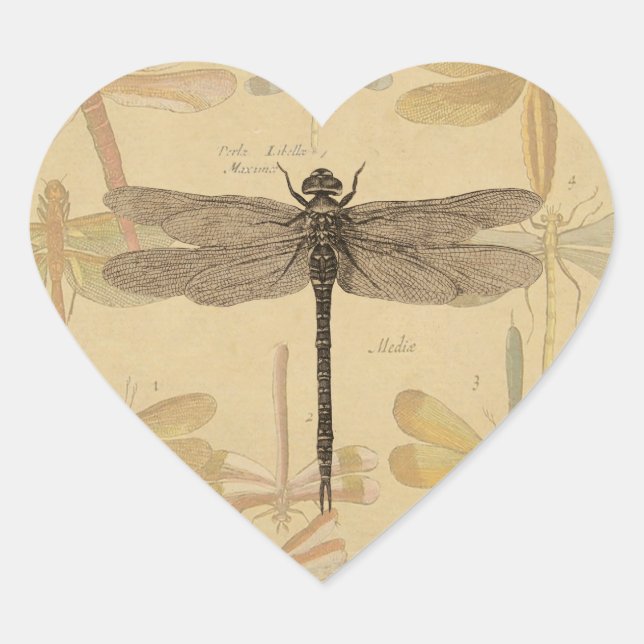 Dragonfly Vintage Antique Classic Nature Heart Sticker (Front)