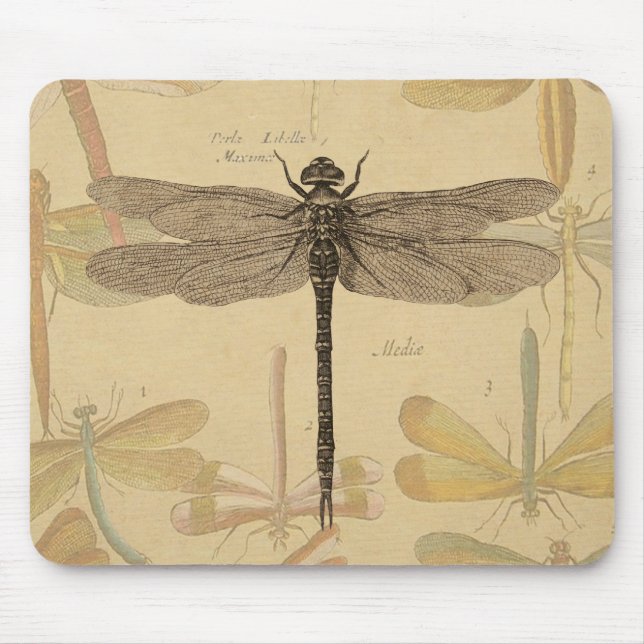 Dragonfly Vintage Antique Classic Nature Mouse Mat (Front)