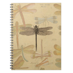 Dragonfly Vintage Antique Classic Nature Notebook