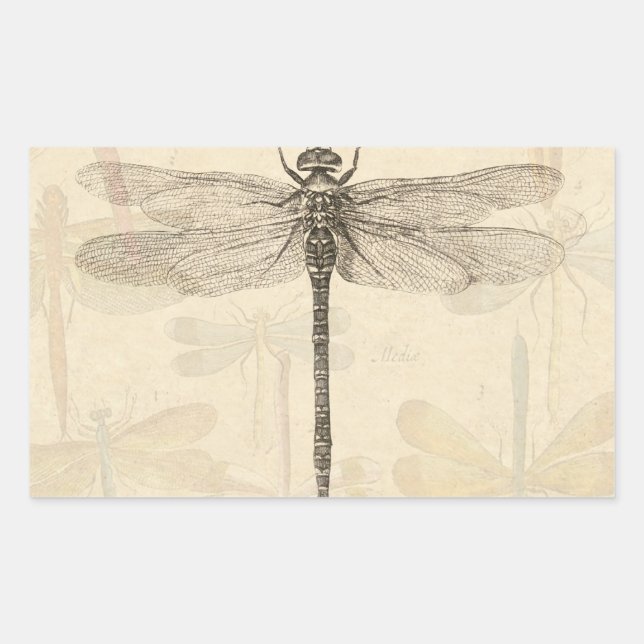 Dragonfly Vintage Antique Classic Nature Rectangular Sticker (Front)