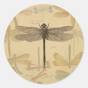 Dragonfly Vintage Antique Classic Nature Round Sticker