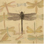 Dragonfly Vintage Antique Classic Nature Standing Photo Sculpture<br><div class="desc">Vintage Dragonfly Antique image of a dragonfly - This sweet little dragonfly is  an antique image of a beautiful dragonfly,  drawn in black and white,  with a background of soft colourful dragonflies against antique paper.</div>