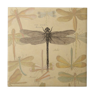 Dragonfly Vintage Antique Classic Nature Tile