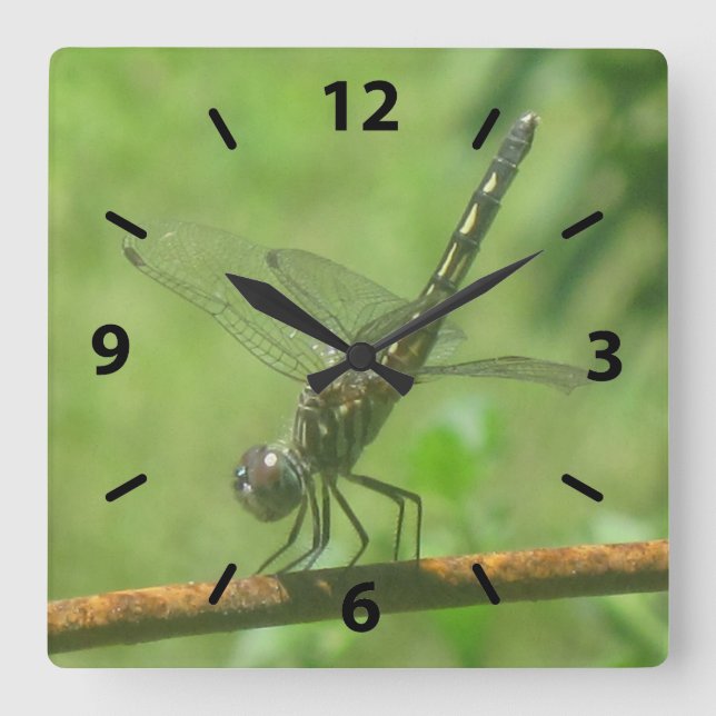 Dragonfly Wall Clock (Front)