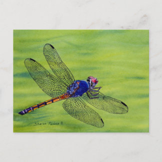 Dragonfly watercolor painting postcard
