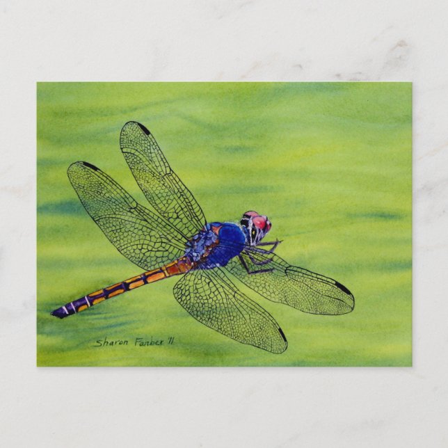 Dragonfly watercolor painting postcard (Front)