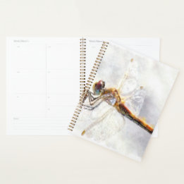 Dragonfly Watercolor Pastel White Background Planner