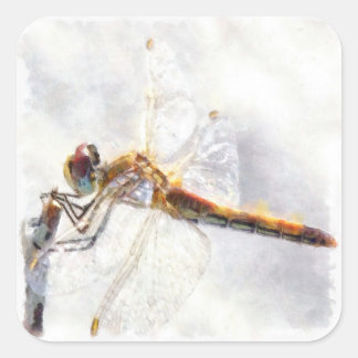Dragonfly Watercolor Pastel White Background Square Sticker
