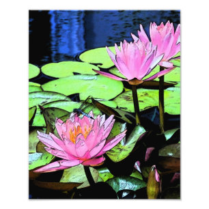 Dragonfly Waterlily sumi-e Photo Print