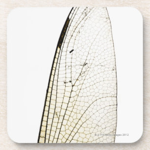 Dragonfly wing coaster