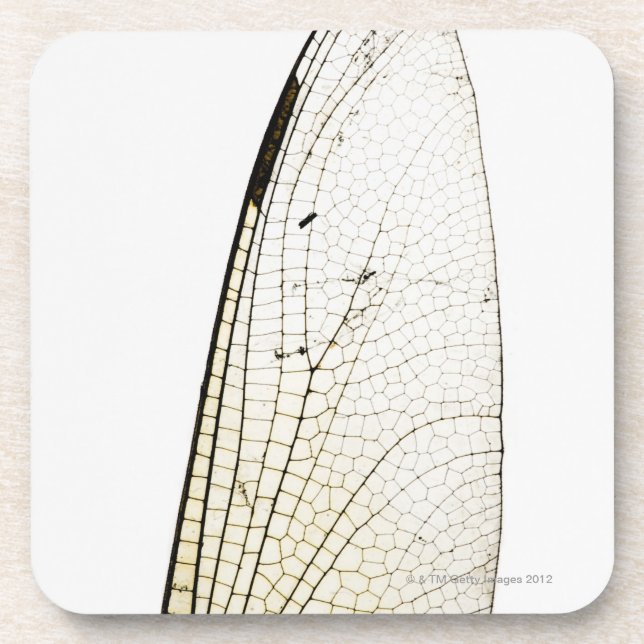 Dragonfly wing coaster (Front)