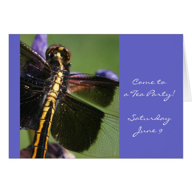 Dragonfly Wings (Front Horizontal)