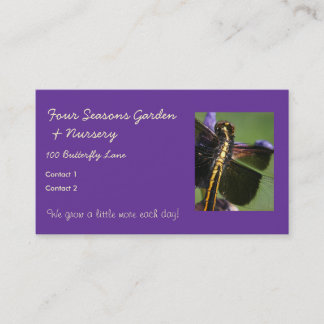 Dragonfly Wings-Choose Background colour! Business Card