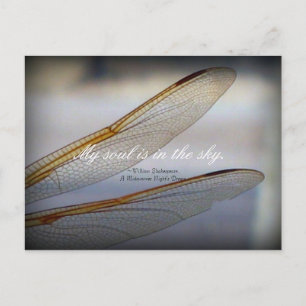 Dragonfly Wings Macro with Shakespeare Quote Postcard