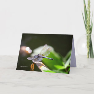 Dragonfly with bokeh card