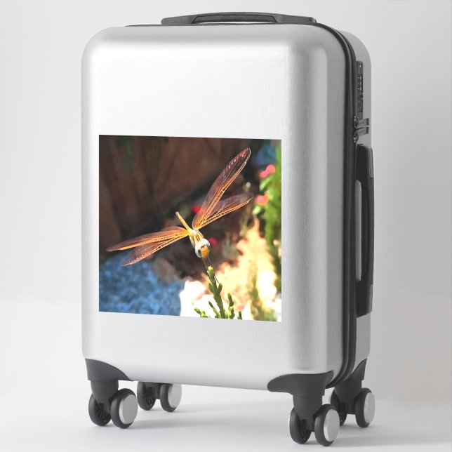 Dragonfly With Sunlight Gilded Wings (Suitcase)