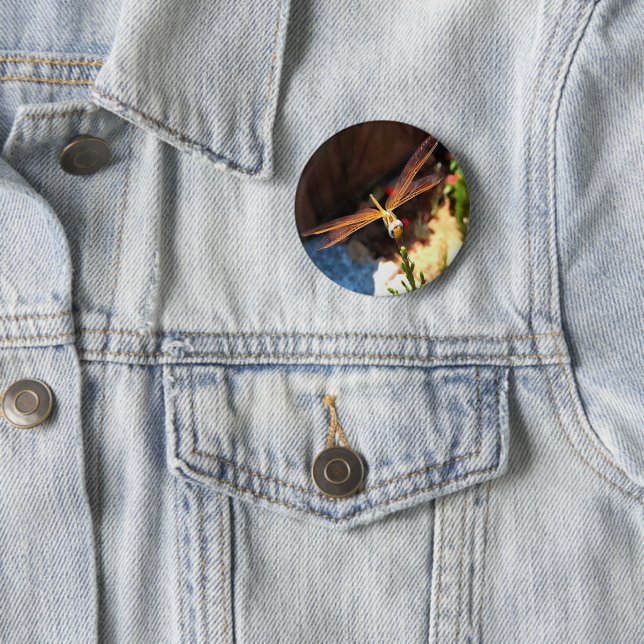 Dragonfly With Sunlight Gilded Wings 6 Cm Round Badge (In Situ)