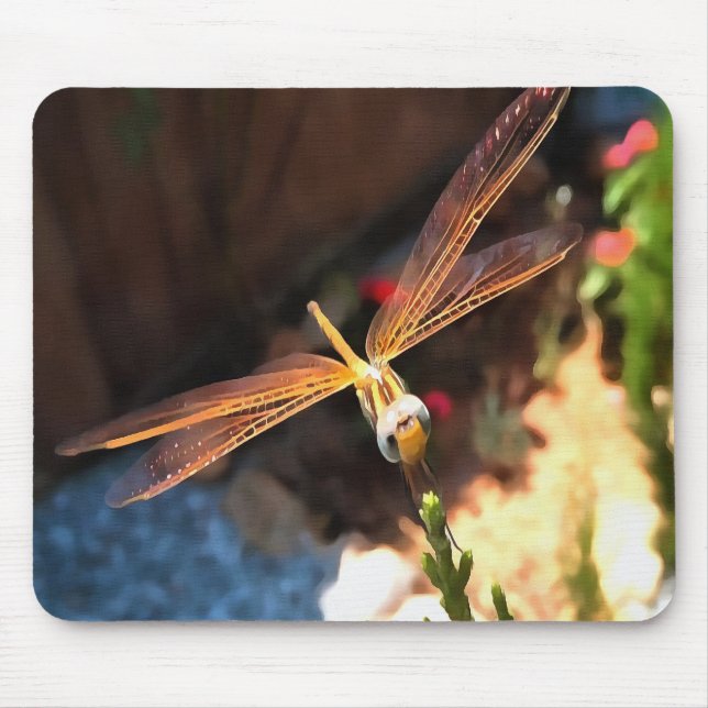 Dragonfly With Sunlight Gilded Wings Mouse Mat (Front)