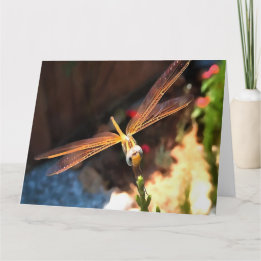 Dragonfly With Sunlight Gilded Wings Thank You Card